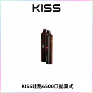 KIS5WAGOO哇酷6500口拋棄式 | 自由混搭雙口味 | 雙芯組合