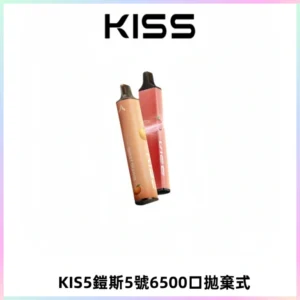 KIS5鎧斯5號一次性6500口磁吸式拋棄式電子煙#自由混搭#